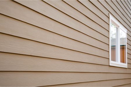 How Missouri’s Humidity Leads to Mold and Algae on Your Home
